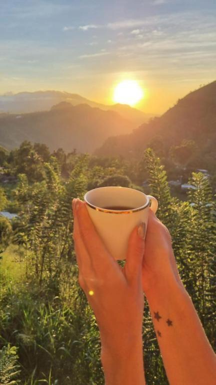 Lush In Ella Hotel Ngoại thất bức ảnh